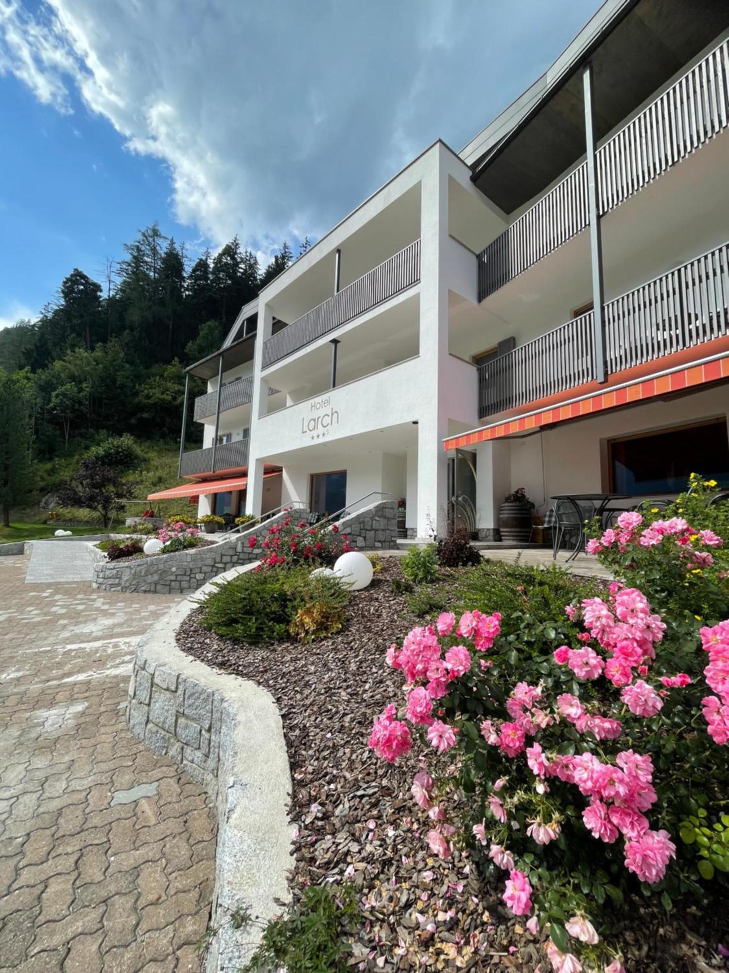 Hotel Larch Campo di Trens Exterior photo